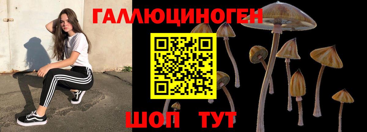 Псилоцибиновые грибы Magic Shrooms Курчатов